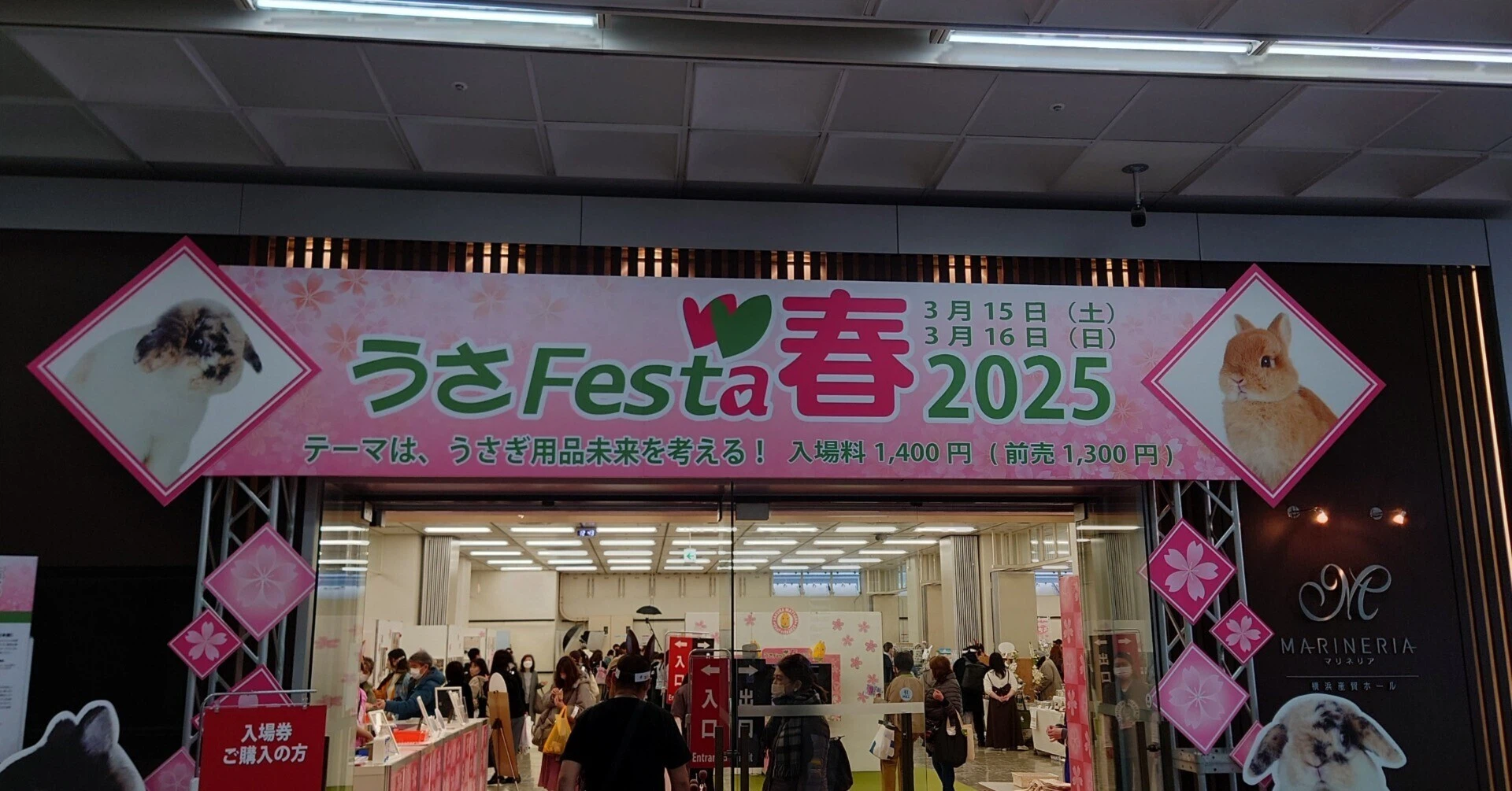 うさぎさん同伴で楽しめる！うさFesta春2025【イベントレポート】