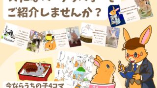 応募フォームはこちら！