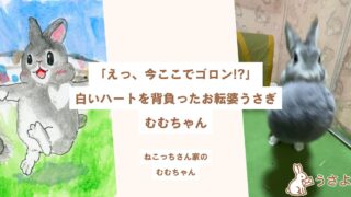 「えっ、今ここでゴロン!?」白いハートを背負ったお転婆うさぎ、むむちゃん