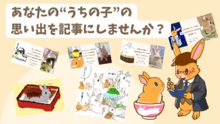 うちの子ひろば｜うさぎさんとの思い出を記事と4コマに